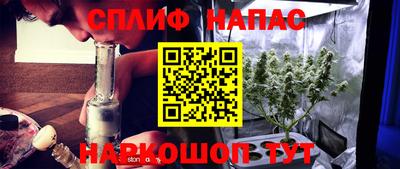 ГАЛЛЮЦИНОГЕННЫЕ ГРИБЫ Пугачёв