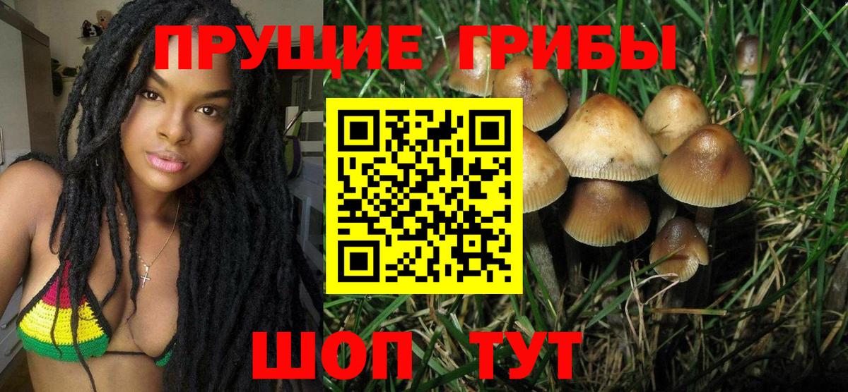 Галлюциногенные грибы Magic Shrooms Валуйки